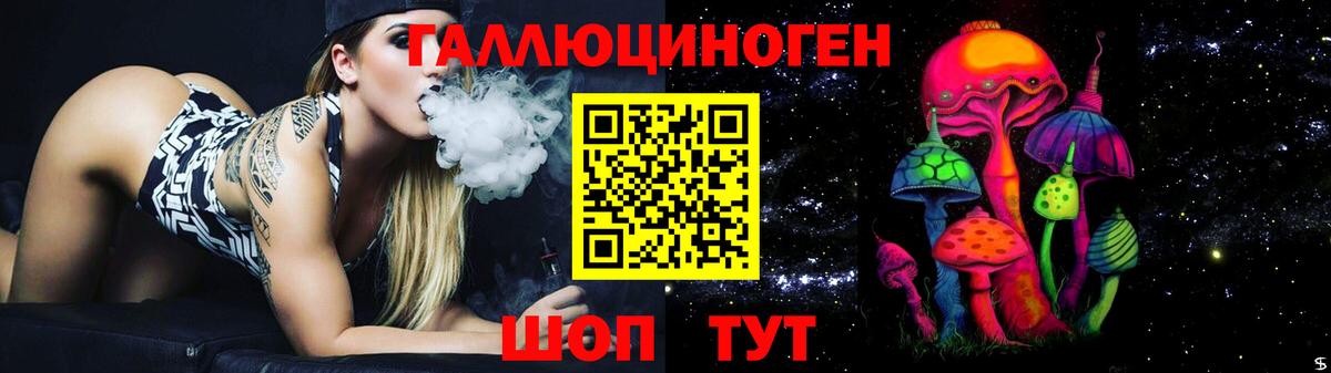 Псилоцибиновые грибы Psilocybine cubensis Елизово